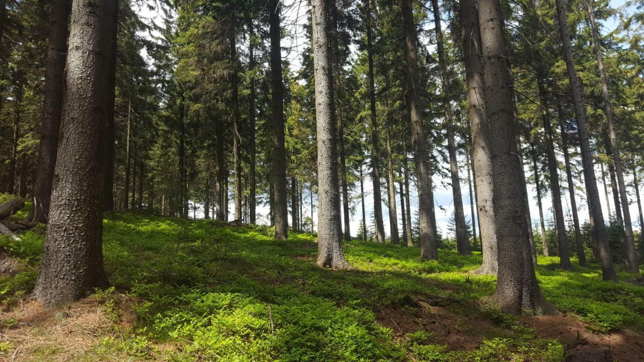 RS BERNOV Zátiší Nejdek Exterior foto